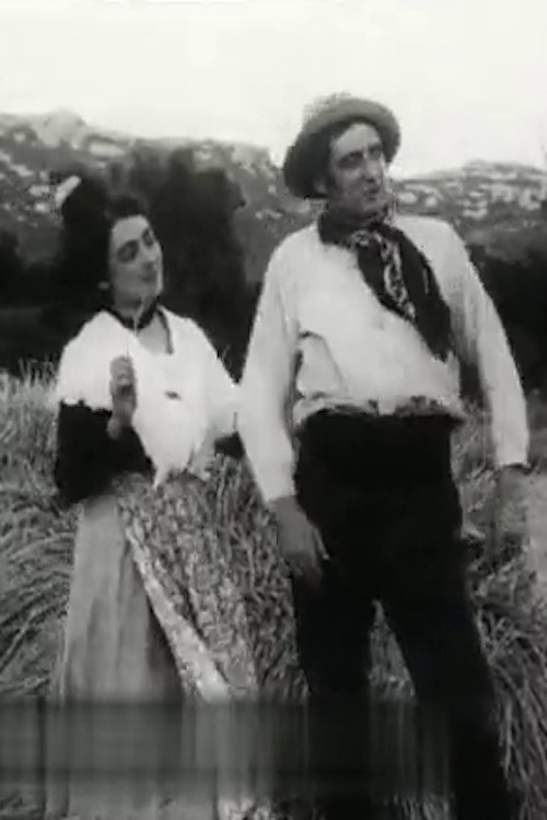 Le Gardian de la Camargue