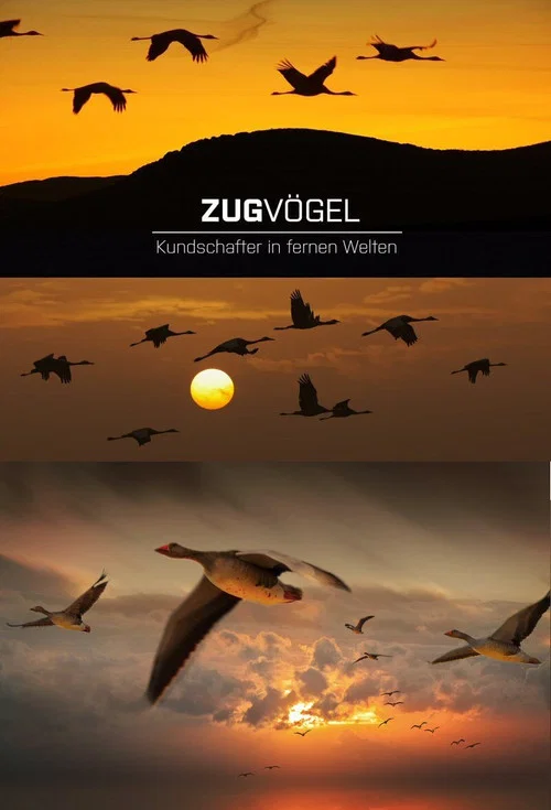 Zugv&ouml;gel - Kundschafter in fernen Welten