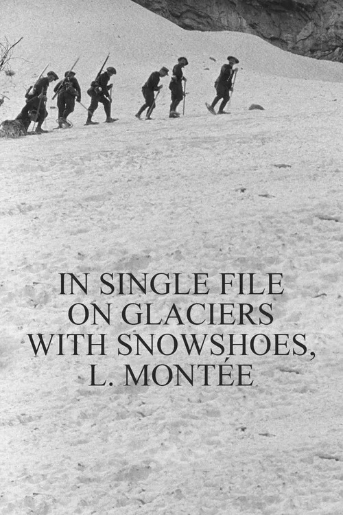 En file indienne sur les glaciers avec les raquettes, mont&eacute;e