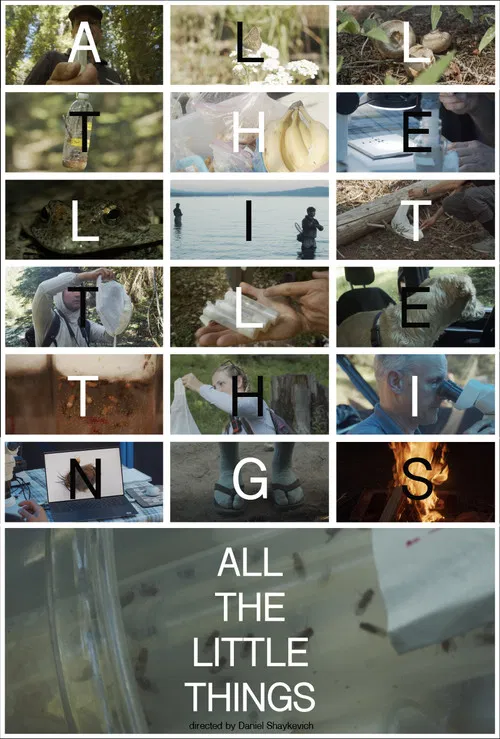 All the Little Things