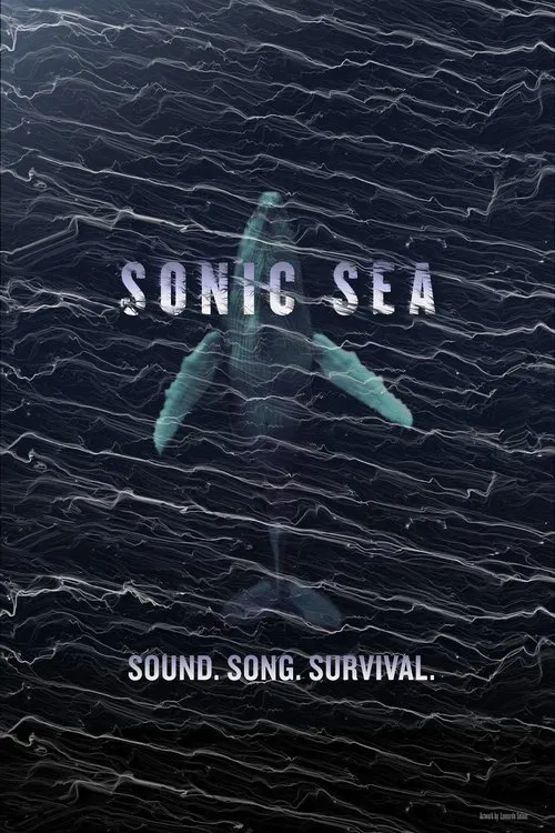 噪音海洋