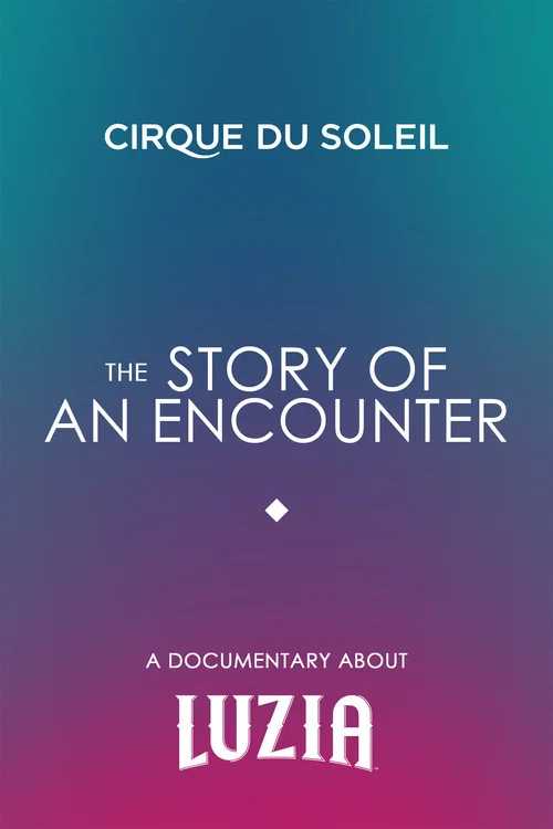 The Story Of An Encounter