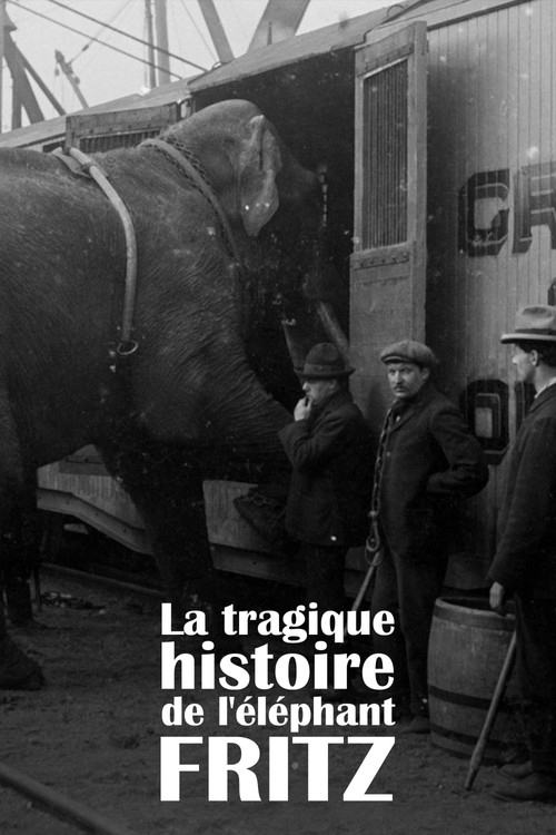 La Tragique Histoire de Fritz l'&eacute;l&eacute;phant