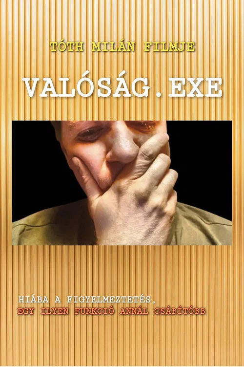 Val&oacute;s&aacute;g.exe