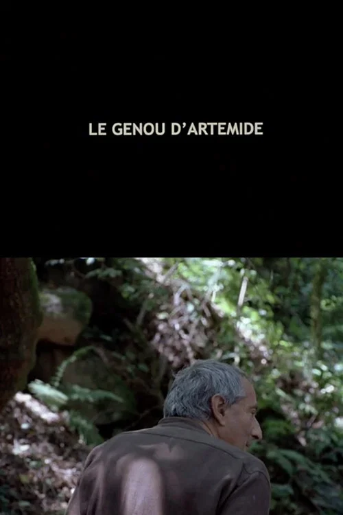 Le Genou d'Art&eacute;mide