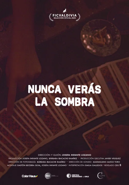 Nunca ver&aacute;s la sombra