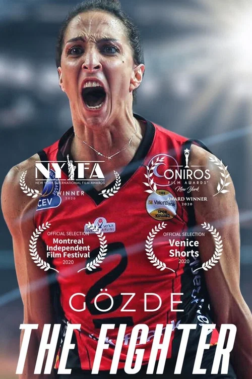 G&ouml;zde the Fighter