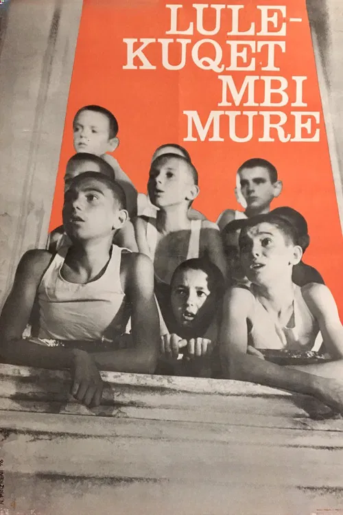 Lul&euml;kuqet mbi mure