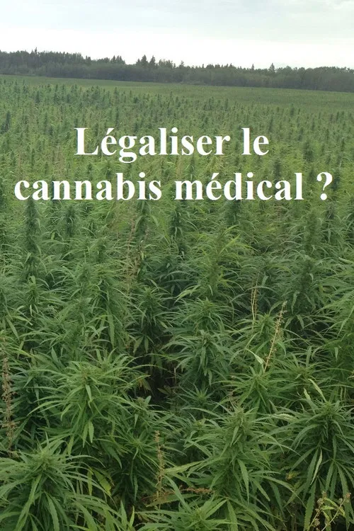 L&eacute;galiser le cannabis m&eacute;dical ?