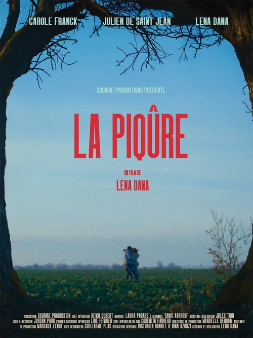 La piq&ucirc;re
