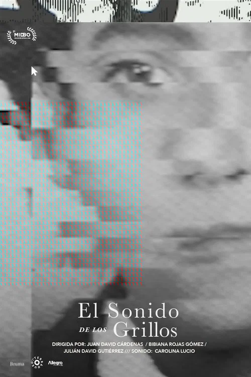 El S&oacute;nido de los Grillos