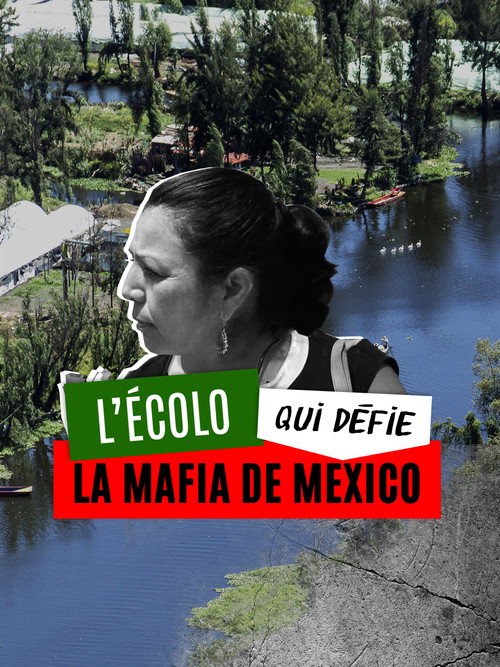 L'&eacute;colo qui d&eacute;fie la mafia de Mexico
