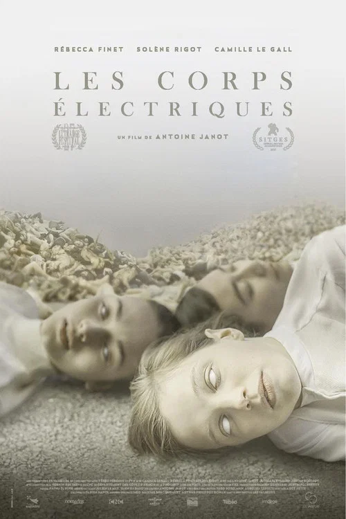 Les corps &eacute;lectriques