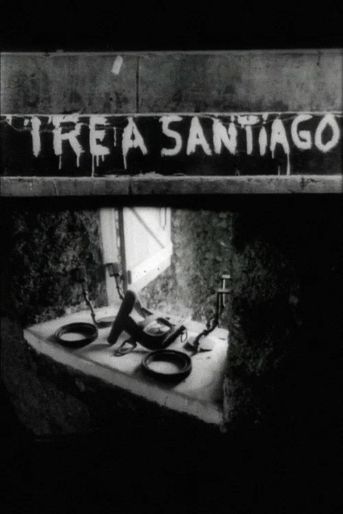 Ir&eacute; a Santiago