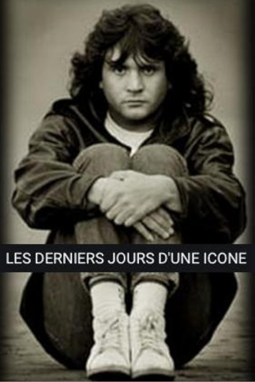 Les derniers jours d'une ic&ocirc;ne : Daniel Balavoine
