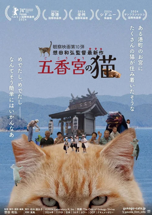 五香宫的猫