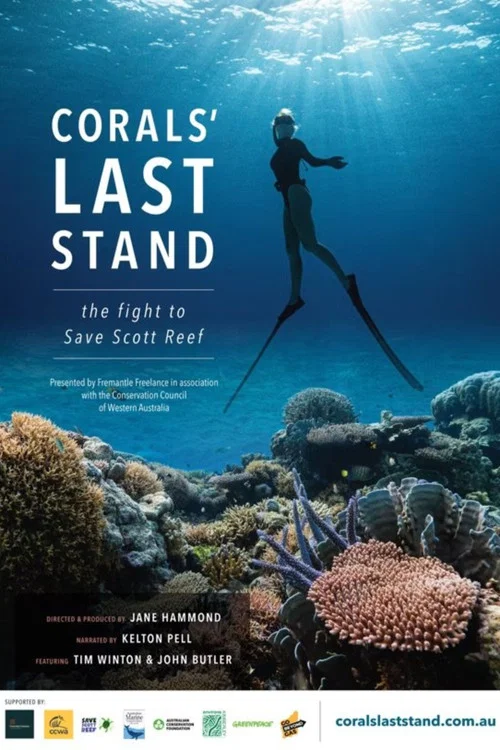 Corals&rsquo; Last Stand