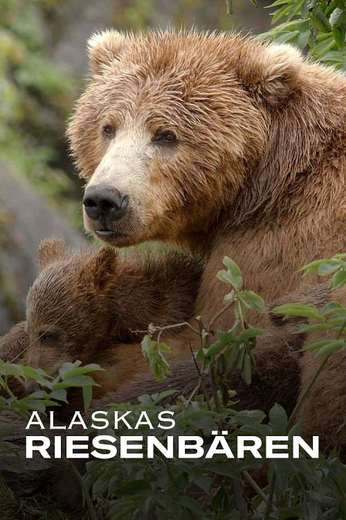 Alaskas Riesenb&auml;ren