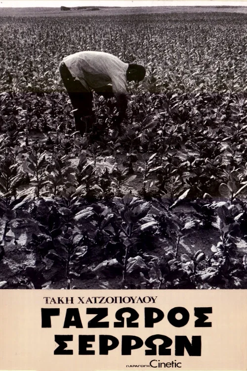 &Gamma;ά&zeta;&omega;&rho;&omicron;&sigmaf; &Sigma;&epsilon;&rho;&rho;ώ&nu;