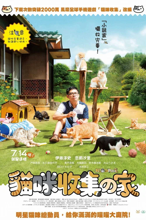 猫咪后院之家