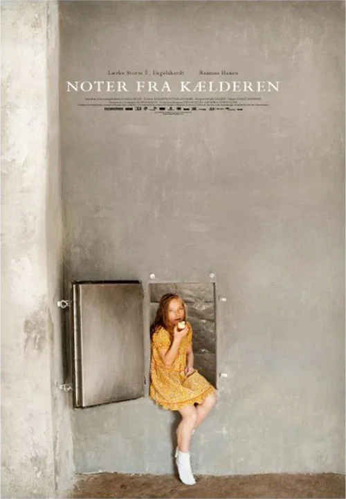 Noter fra k&aelig;lderen