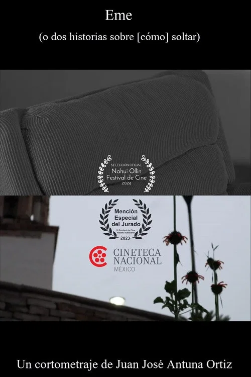 Eme (o dos historias sobre [c&oacute;mo] soltar)