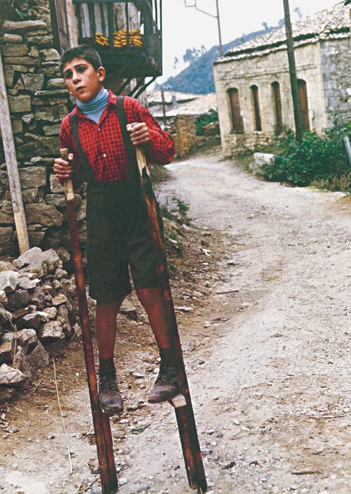 &Omicron; &Psi;ύ&lambda;&lambda;&omicron;&sigmaf;