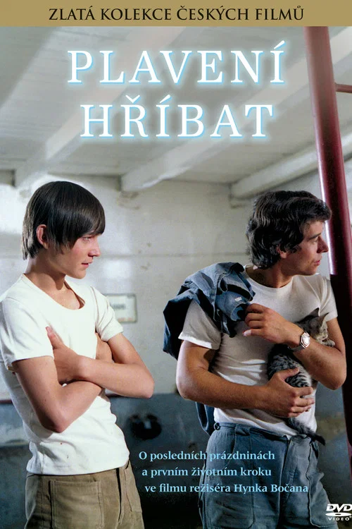 Plaven&iacute; hř&iacute;bat