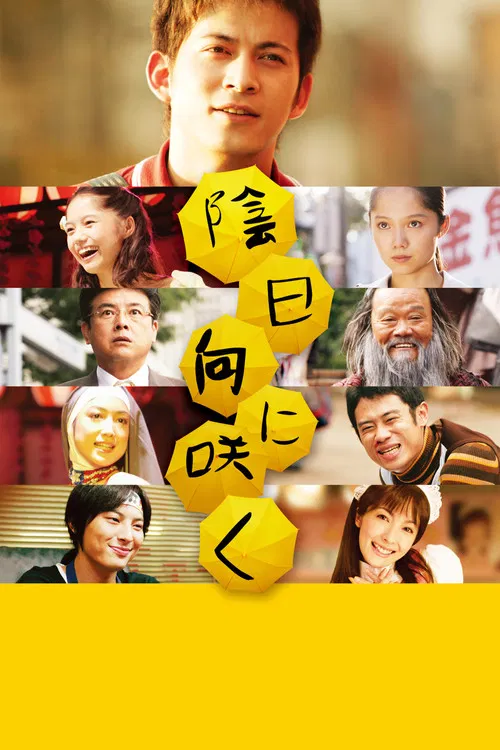 向着阴天绽放