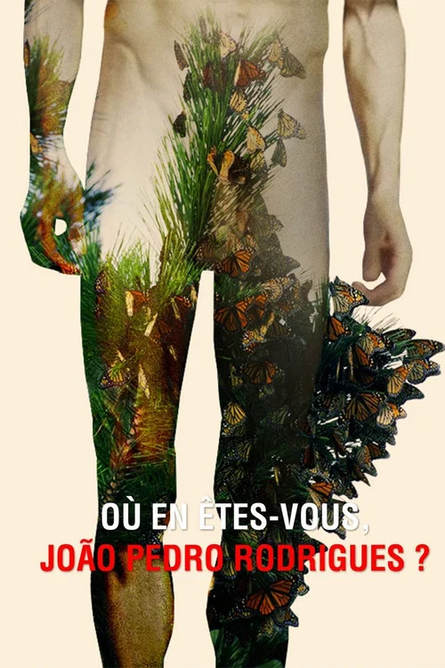 O&ugrave; en &ecirc;tes-vous, Jo&atilde;o Pedro Rodrigues ?