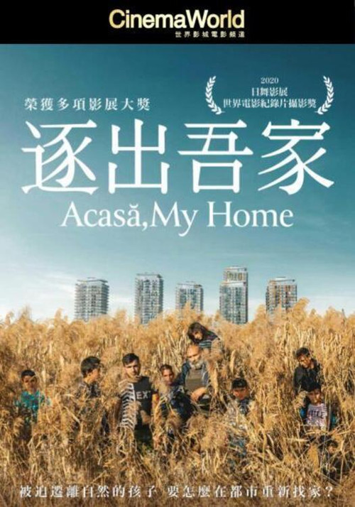 阿卡萨，我的家