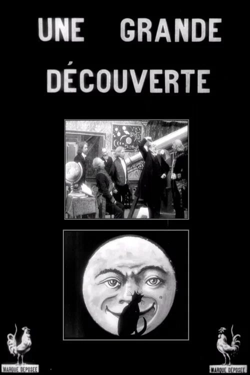 Une grande d&eacute;couverte