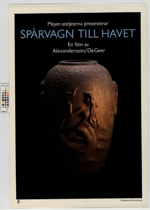 Sp&aring;rvagn till havet