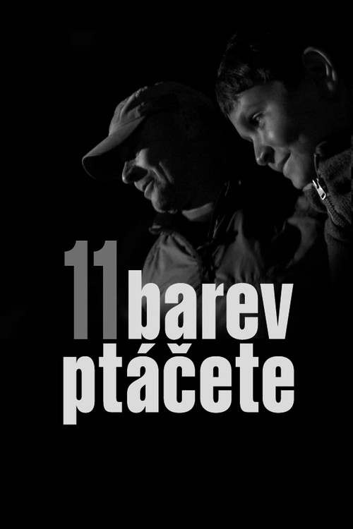 11 barev pt&aacute;čete