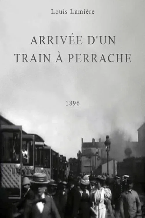 Arriv&eacute;e d'un train &agrave; Perrache