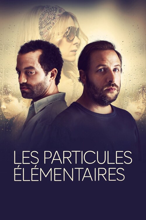 Les Particules &eacute;l&eacute;mentaires