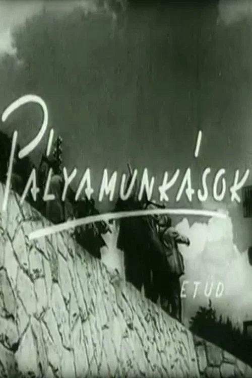 P&aacute;lyamunk&aacute;sok