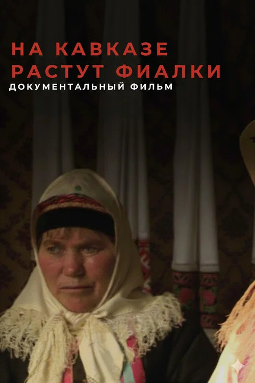 На Кавказе растут фиалки