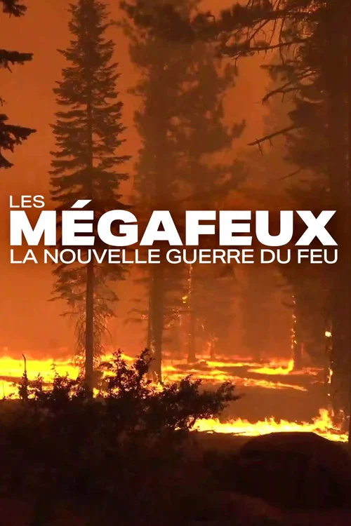 Les M&eacute;gafeux, la nouvelle guerre du feu