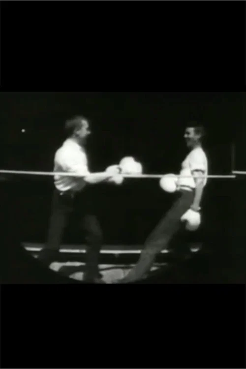Men Boxing