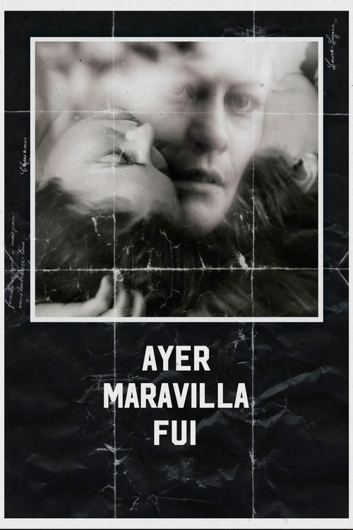 Ayer Maravilla Fu&iacute;