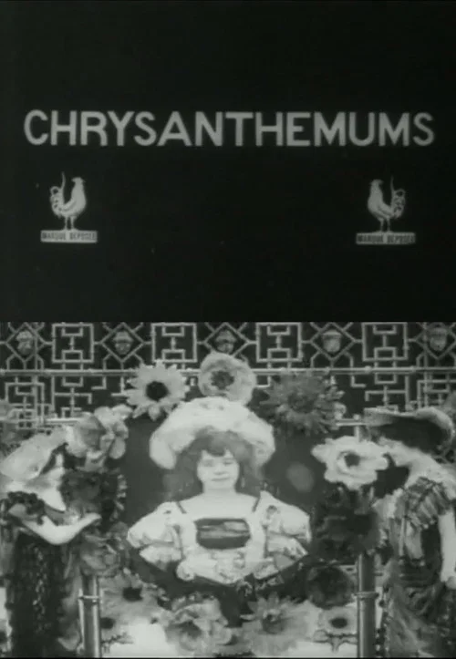 Les Chrysanth&egrave;mes