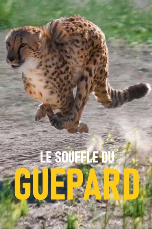 Le souffle du gu&eacute;pard