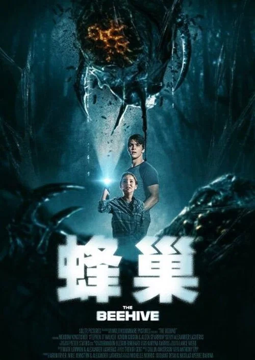 蜂巢