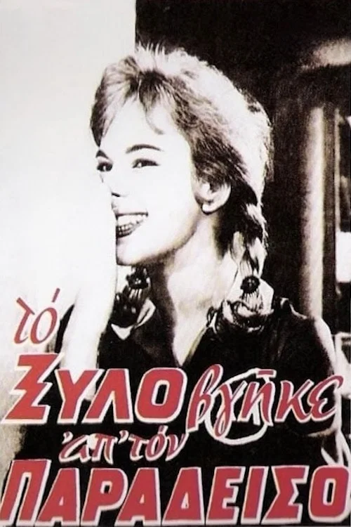 &Tau;&omicron; &Xi;ύ&lambda;&omicron; &Beta;&gamma;ή&kappa;&epsilon; &Alpha;&pi;' &tau;&omicron;&nu; &Pi;&alpha;&rho;ά&delta;&epsilon;&iota;&sigma;&omicron;