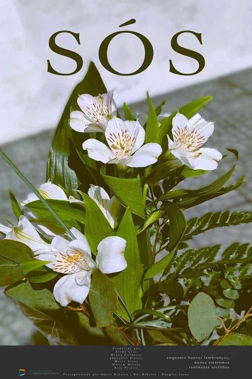 S&oacute;s