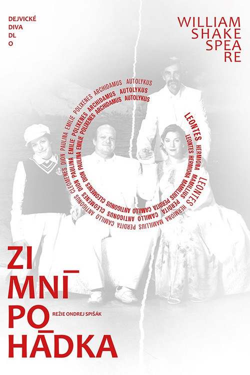 Zimn&iacute; poh&aacute;dka