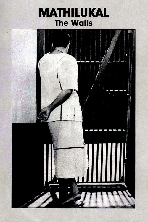 墙