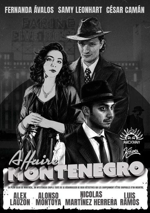 Affaire Montenegro