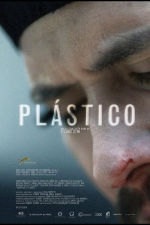 Pl&aacute;stico